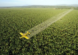 pesticide bio